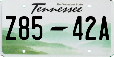 TN license plate Z8542A