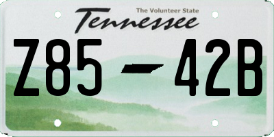 TN license plate Z8542B