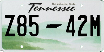 TN license plate Z8542M