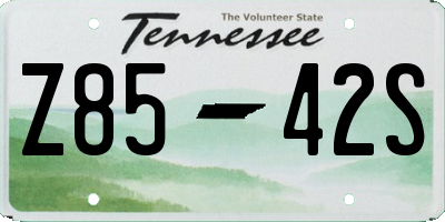 TN license plate Z8542S