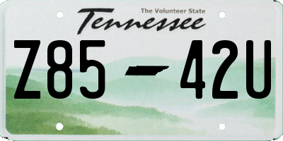TN license plate Z8542U