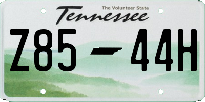 TN license plate Z8544H