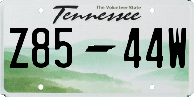 TN license plate Z8544W