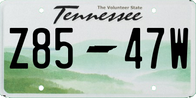 TN license plate Z8547W