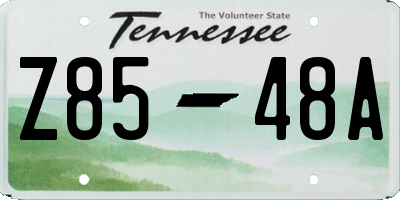 TN license plate Z8548A