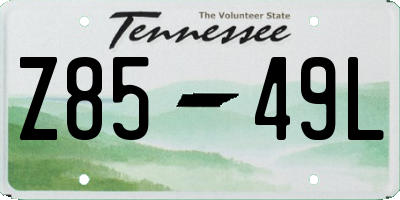 TN license plate Z8549L
