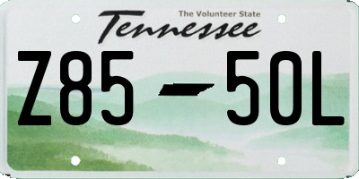 TN license plate Z8550L