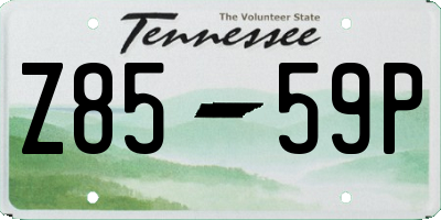 TN license plate Z8559P