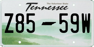 TN license plate Z8559W