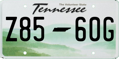 TN license plate Z8560G