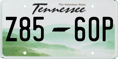 TN license plate Z8560P