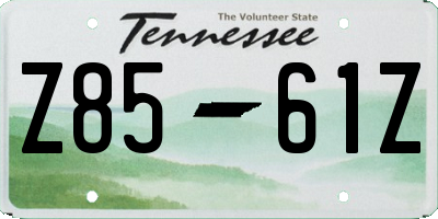 TN license plate Z8561Z
