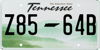 TN license plate Z8564B