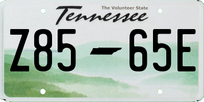 TN license plate Z8565E