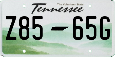 TN license plate Z8565G