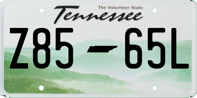 TN license plate Z8565L