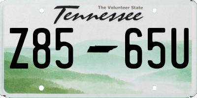 TN license plate Z8565U