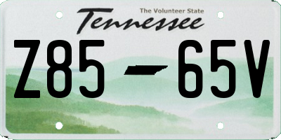 TN license plate Z8565V