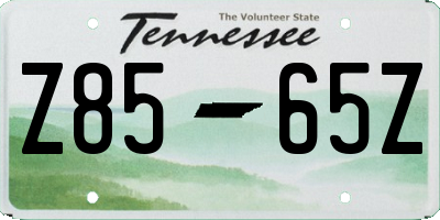 TN license plate Z8565Z