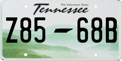 TN license plate Z8568B