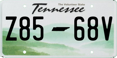 TN license plate Z8568V