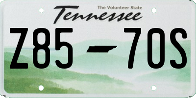 TN license plate Z8570S