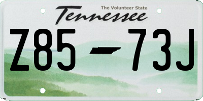 TN license plate Z8573J