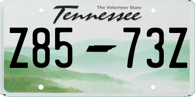 TN license plate Z8573Z