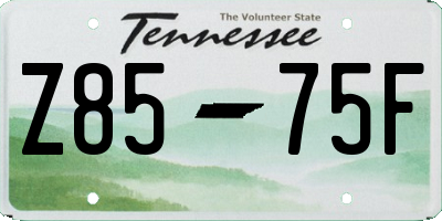 TN license plate Z8575F