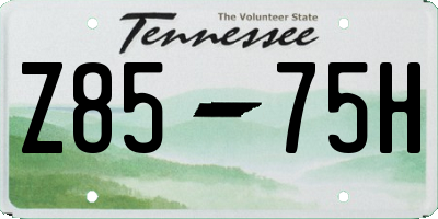 TN license plate Z8575H