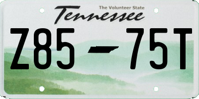 TN license plate Z8575T