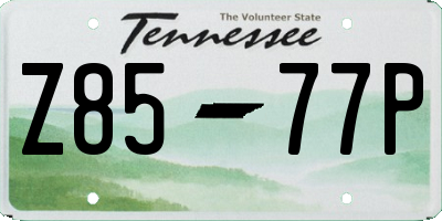 TN license plate Z8577P