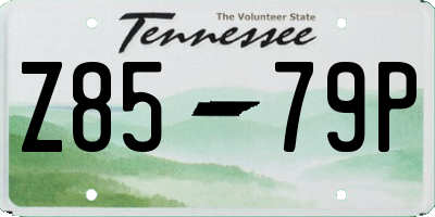 TN license plate Z8579P