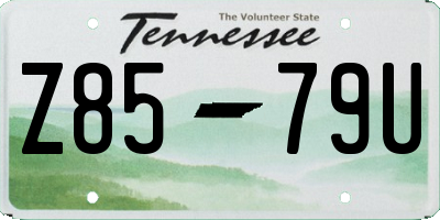 TN license plate Z8579U