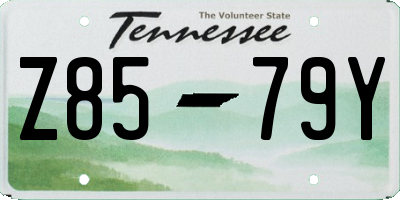 TN license plate Z8579Y