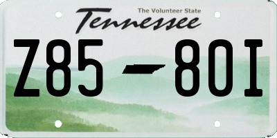 TN license plate Z8580I