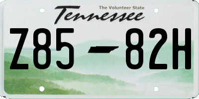 TN license plate Z8582H