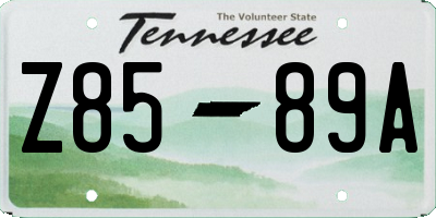 TN license plate Z8589A
