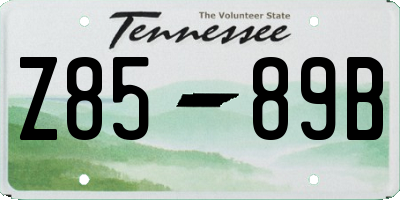 TN license plate Z8589B