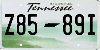 TN license plate Z8589I