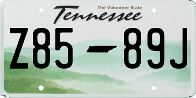 TN license plate Z8589J