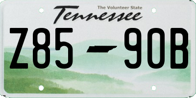 TN license plate Z8590B