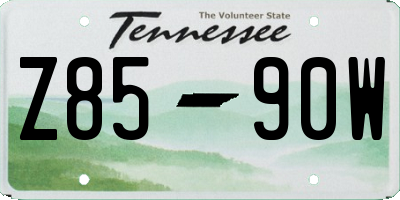 TN license plate Z8590W