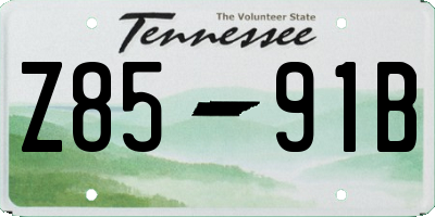 TN license plate Z8591B