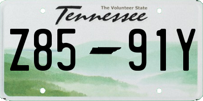 TN license plate Z8591Y