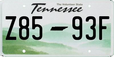 TN license plate Z8593F