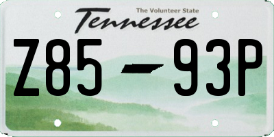 TN license plate Z8593P