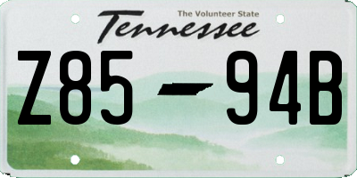 TN license plate Z8594B