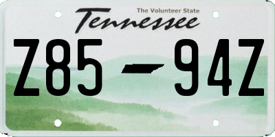 TN license plate Z8594Z