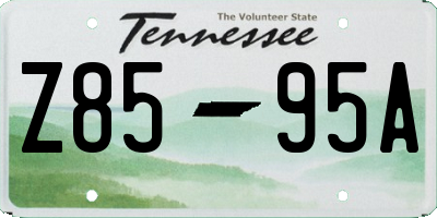 TN license plate Z8595A